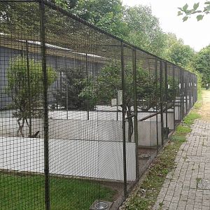 Aviaries