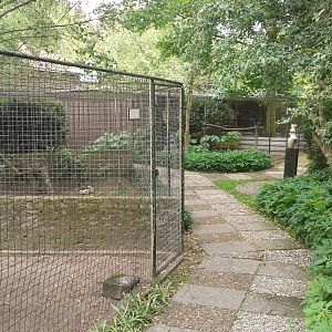 Aviaries