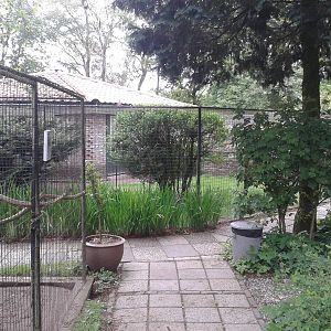 Aviaries