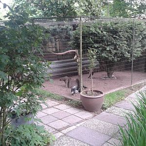 Aviaries