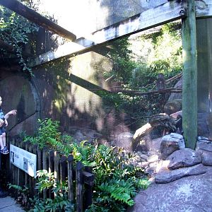Owl Aviary at Jacksonville, 10/10/13