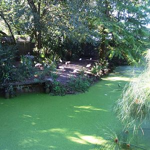 Crane Paddock at Jacksonville, 10/10/13