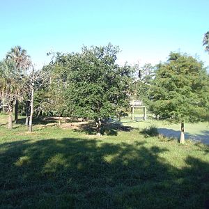 Bongo Paddock at Jacksonville, 10/10/13