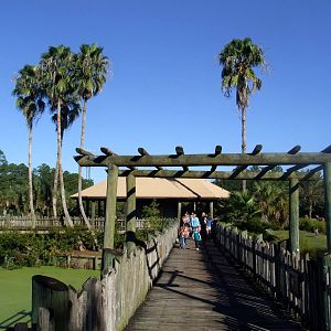 African Boardwalk at Jacksonville, 10/10/13