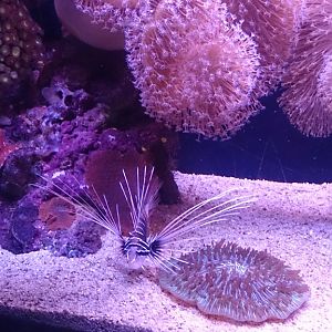 The Underwater Observatory Marine Park 26.10.13