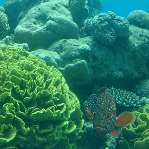 The Underwater Observatory Marine Park 26.10.13