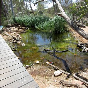 Walkthrough Waterhole Aviary interior