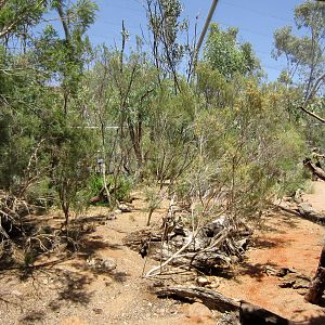 Walkthrough Waterhole Aviary interior