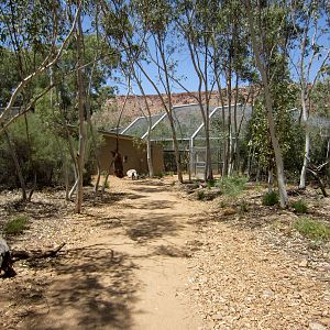 Walkthrough Waterhole Aviary exterior