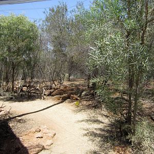 Anotther walkthrough aviary