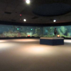 Nocturnal House interior