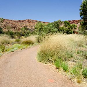 Path through the Desert Park