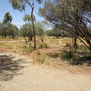 Path through the Desert Park