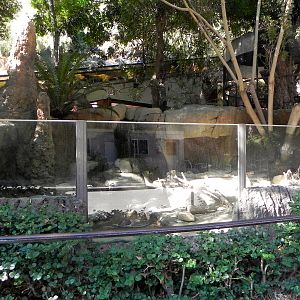 Park Way (formerly known as dog and cat canyon)