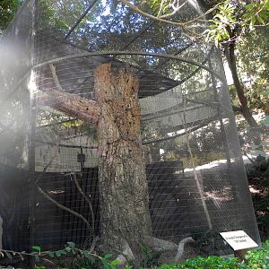 Park Way (formerly known as dog and cat canyon)