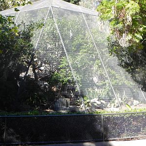 Park Way (formerly known as dog and cat canyon)