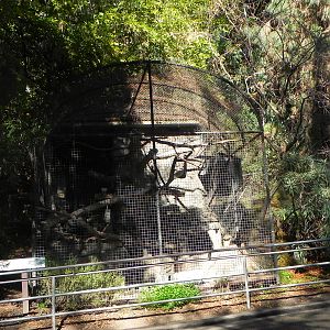 Park Way (formerly known as dog and cat canyon)