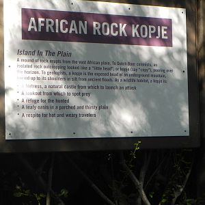 African Rock Kopje