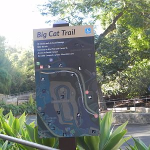 Big Cat Trail