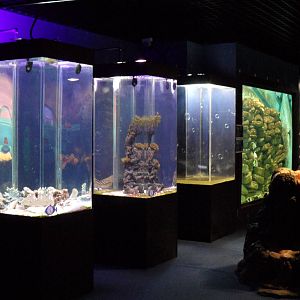 Small marine tanks