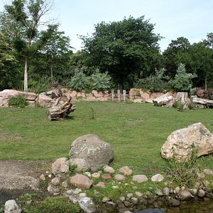 Magdeburg Zoo - Africambo (Savannah)