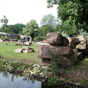 Magdeburg Zoo - Africambo (Savannah)