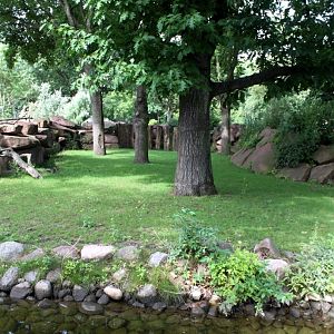 Magdeburg Zoo - Africambo (Savannah)