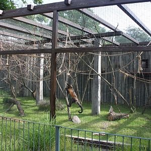 Magdeburg Zoo - Africambo (Savannah)