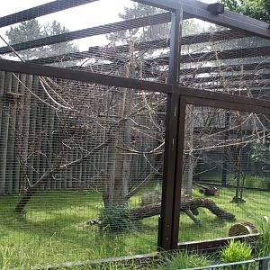 Magdeburg Zoo - Capuchin exhibit