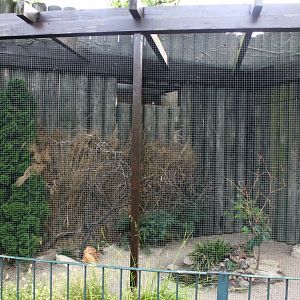 Magdeburg Zoo - Finch/dove aviary