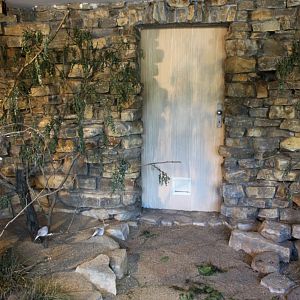 Magdeburg Zoo - Finch/dove aviary