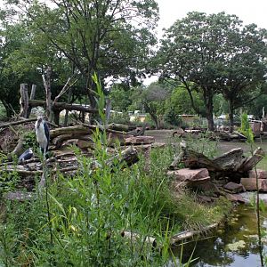 Magdeburg Zoo - Africambo (Savannah)