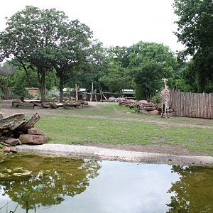 Magdeburg Zoo - Africambo (Savannah)