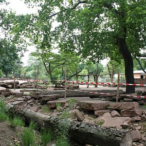 Magdeburg Zoo - Africambo (Savannah)