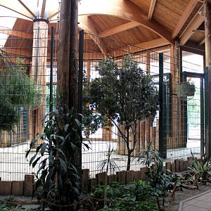 Magdeburg Zoo - Africambo (Giraffe House)