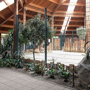 Magdeburg Zoo - Africambo (Giraffe House)