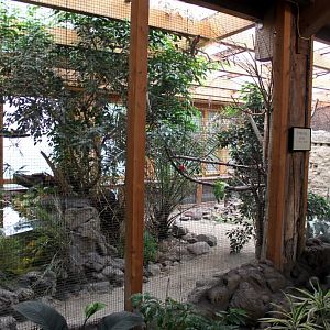 Magdeburg Zoo - Africambo (Giraffe House Aviary)