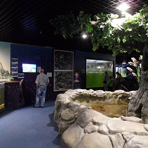 Aquariums at entrance