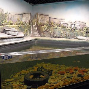 Volga river aquarium