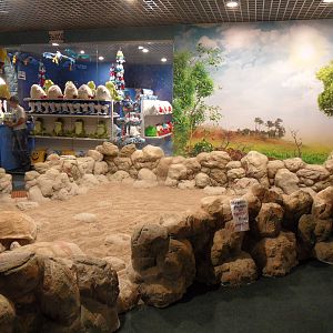 African spurred tortoise exhibit; gift shop