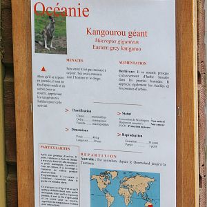 Eastern giant kangaroo sign