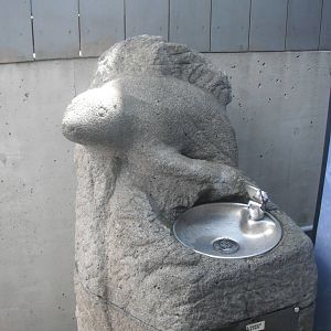 Seal drinking fountain