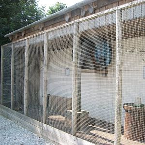 Playdale Farm Park, Scarborough, 2nd August 2013