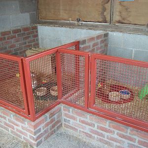 Playdale Farm Park, Scarborough, 2nd August 2013