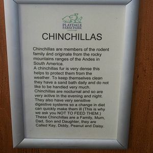 Playdale Farm Park, Scarborough, 2nd August 2013