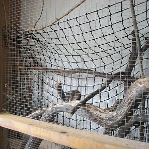 Playdale Farm Park, Scarborough, 2nd August 2013