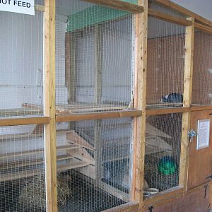 Playdale Farm Park, Scarborough, 2nd August 2013