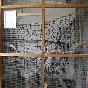 Playdale Farm Park, Scarborough, 2nd August 2013