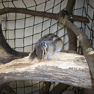 Playdale Farm Park, Scarborough, 2nd August 2013
