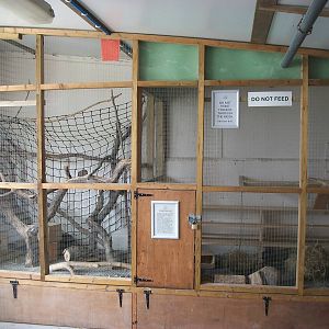 Playdale Farm Park, Scarborough, 2nd August 2013